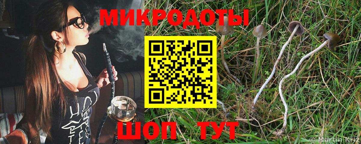 Псилоцибиновые грибы MAGIC MUSHROOMS  Вход с VPN  Старый Оскол 